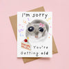 I’m sorry you are getting old, funny hamster internet meme 