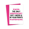 Dirty Anniversary Card - Sassy Funny Anniversary Cards - Cards