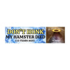 Don’t Honk! My Hamster Died (13 years ago): Bumper Sticker