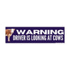 WARNING driving is looking at cows: Bumper Sticker