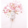 Gender Reveal Push-Pop Confetti - Girl - Party Supplies