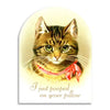 I Just Pooped on Your Pillow - Funny Cat Lover Card