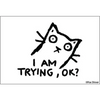 MAGNET: I AM TRYING OK - Magnets
