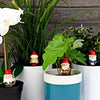 Naughty Gnomes for Plants