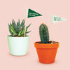 Plant Flags - 5 Pack