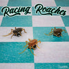 Racing Roaches - Toys